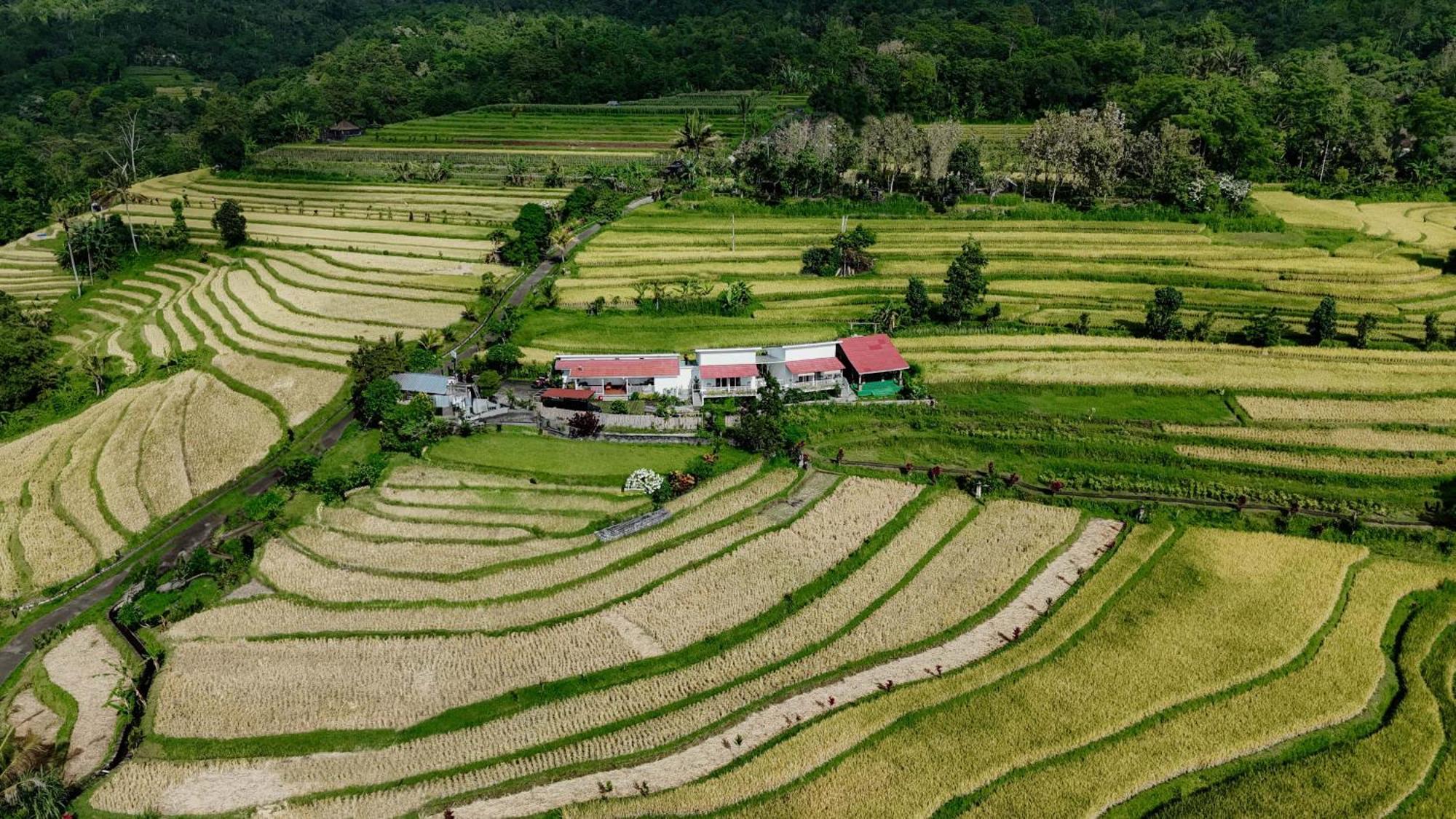 Santya Loka Lodge & Twin Waterfall Jatiluwih Exterior foto
